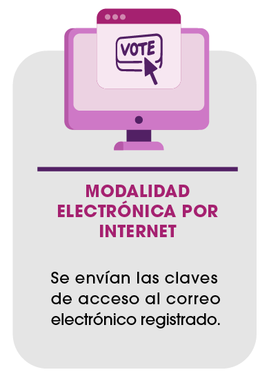 Modalidad electrónica por Internet